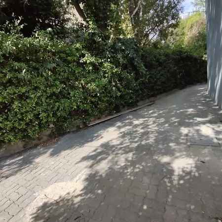 Apartament The Black Swan